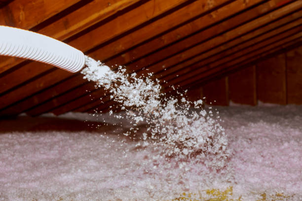 Best Spray Foam Insulation  in Wayne City, IL
