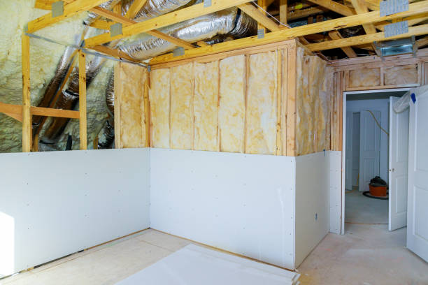 Best Insulation Contractor Near Me  in Wayne City, IL