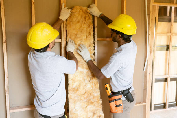 Best Professional Insulation Contractor  in Wayne City, IL