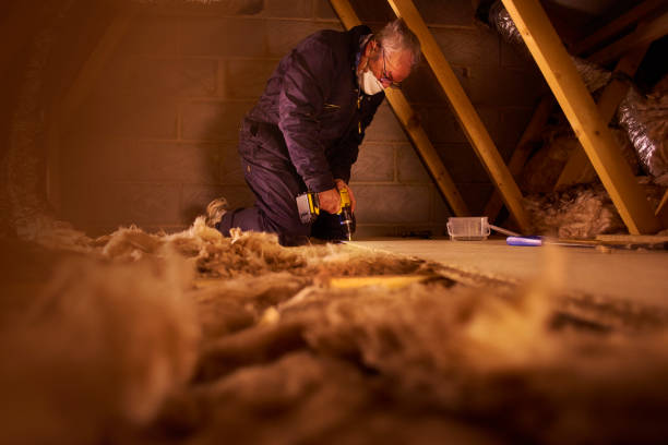 Best Professional Insulation Contractor  in Wayne City, IL